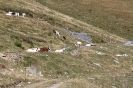 Rifugio Avanza_5