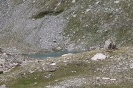 Rifugio Avanza