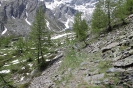 Rifugio Levi Molinari_39