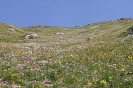 Rifugio Stellina_12