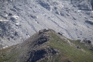 Rifugio Stellina