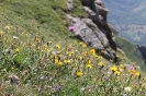 Rifugio Stellina_8