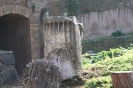 FORO_11