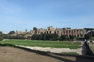 ROMA_56