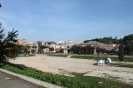 ROMA_62