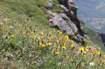 Rifugio Stellina_8