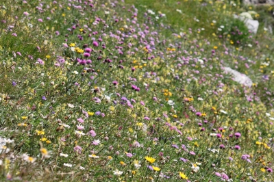 Rifugio Stellina_11