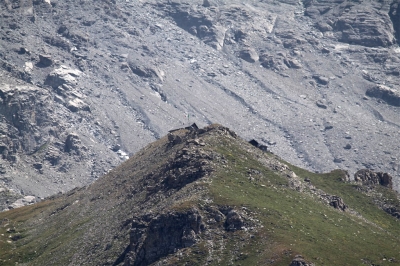 Rifugio Stellina_28