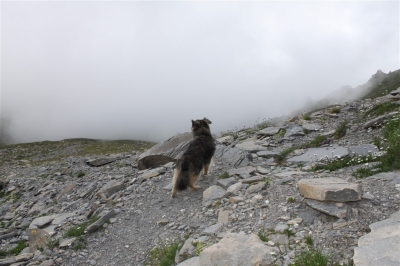 Rifugio Stellina_47