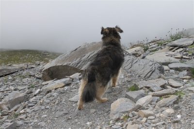 Rifugio Stellina_48