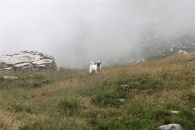 Rifugio Stellina_53