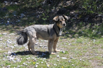 BRIANCON_91