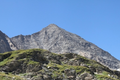 Rif Tazzetti_51