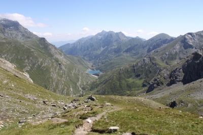 Rif Tazzetti_61