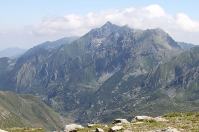 Rif Tazzetti_75