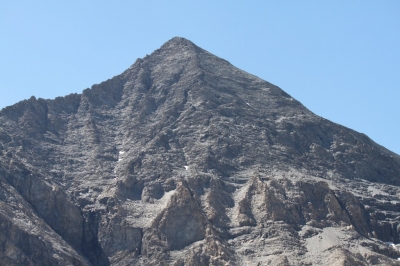 Rif Tazzetti_81