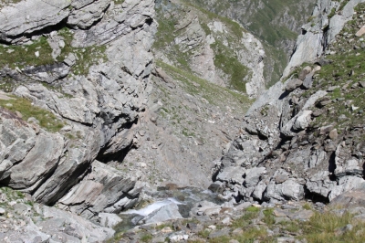 Rif Tazzetti_130