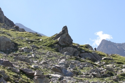Rif Tazzetti_143