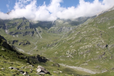 Rif Tazzetti_168
