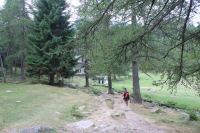 Rif Toesca_5